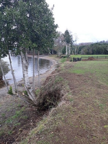 Riego tecnificado riegos panguipulli